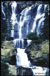 Wasserfall im Icefield-Parkway / Kanada