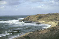 211-Phillip Island