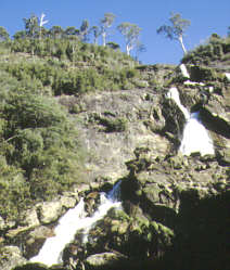 Tasmanien - Columba Falls