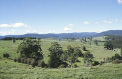 Tasmanien - St. Helens nach Launceston