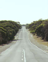 365-Mt. Gambier nach Kingston