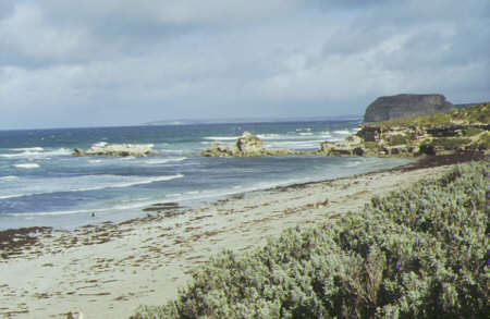 Kangaroo Island - Seal Bay