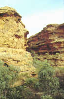 467- Kings Canyon