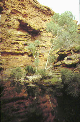 469-Kings Canyon