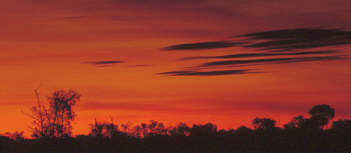 553-Sonnenuntergang im Outback
