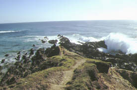 685 Cape Byron