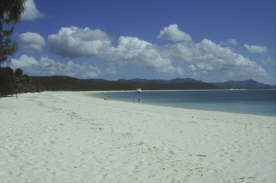 758 Whitsunday Whiteheaven-Beach