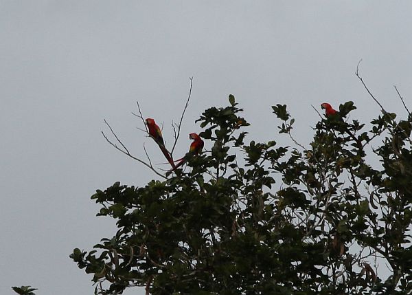 Costa Rica 2014