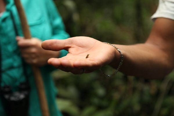 Costa Rica 2014