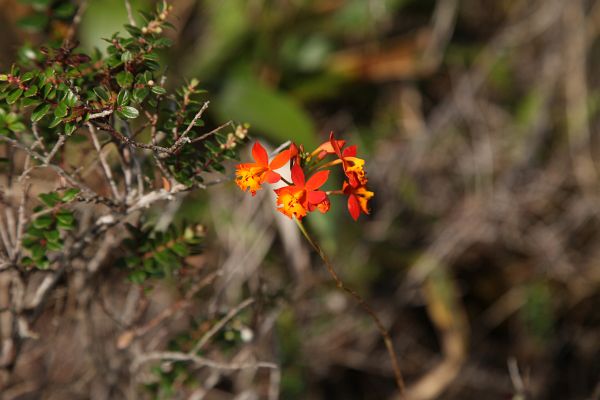 Costa Rica 2014