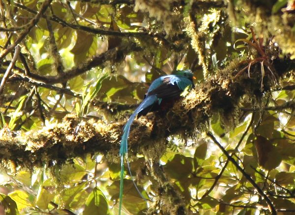 Costa Rica 2014