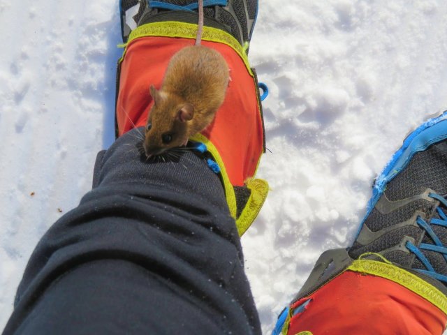 Wanderurlaub im Fichtelgebirge