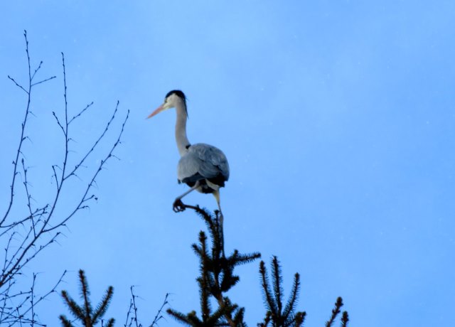 Wanderurlaub im Fichtelgebirge