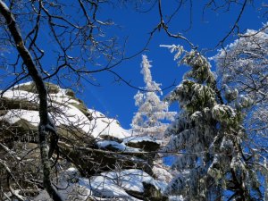 Wanderurlaub im Fichtelgebirge