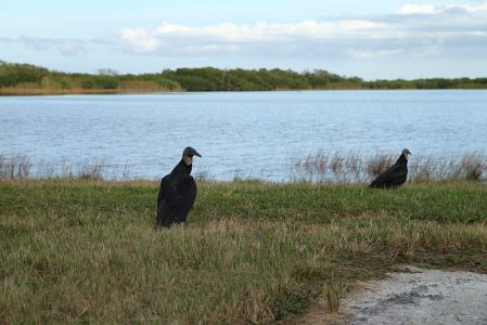 Florida Urlaub 2013