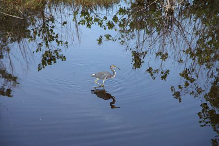 Florida Urlaub 2013