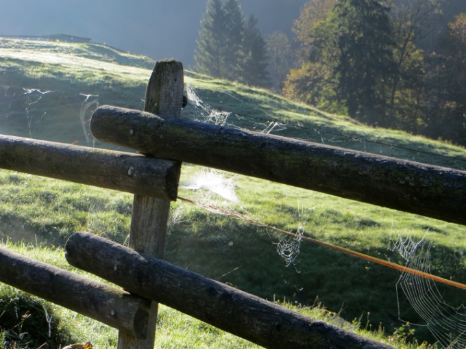 Morgenstimmung beim Landhotel Mauthusl