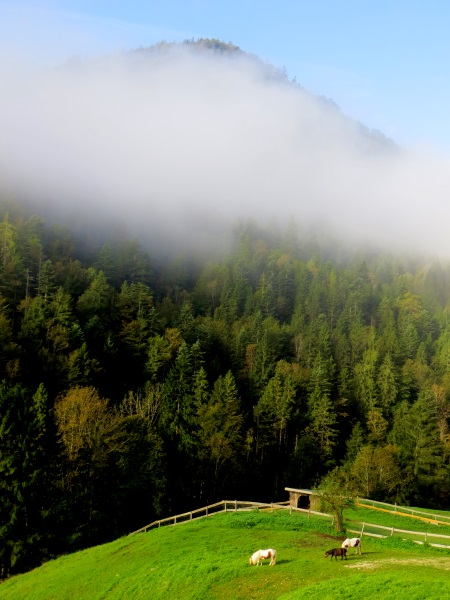 Morgenstimmung beim Landhotel Mauthusl