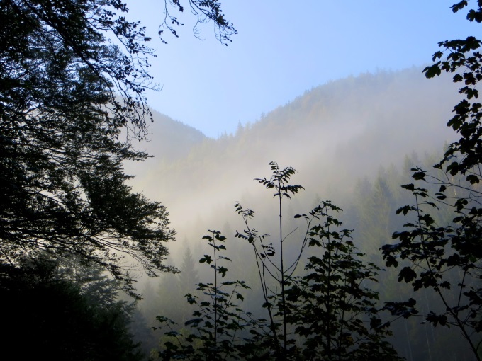 Morgenstimmung beim Landhotel Mauthusl