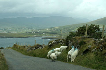 Irland - Reise 2007