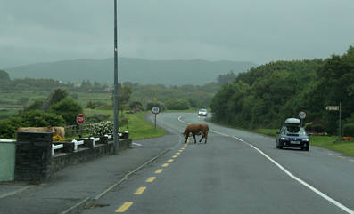 Irland - Reise 2007