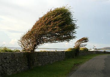 Irland - Reise 2007