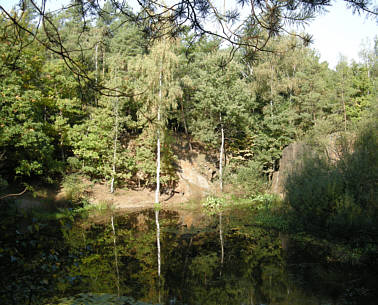 Moritzburg Herbst 2008