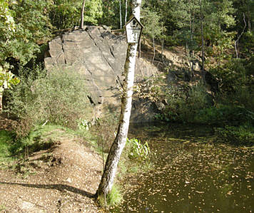 Moritzburg Herbst 2008