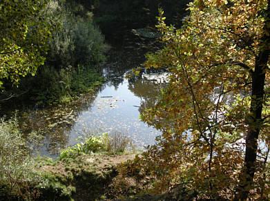 Moritzburg Herbst 2008