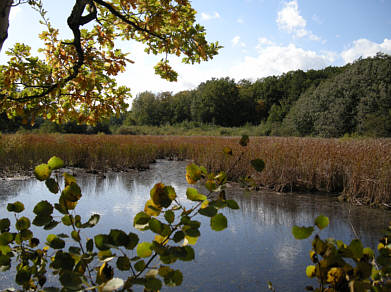 Moritzburg Herbst 2008