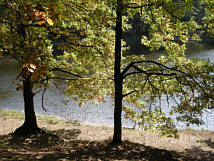 Moritzburg Herbst 2008