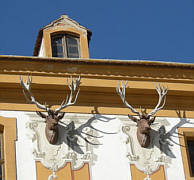 Moritzburg Herbst 2008