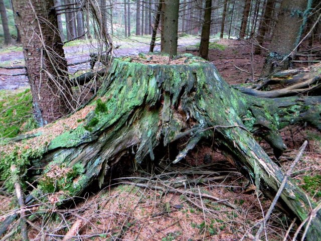 Reise nach Neualbenreuth und Sibyllenbad