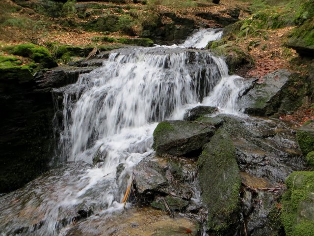 Reise nach Neualbenreuth und Sibyllenbad