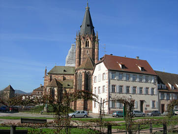 Reisebild einer Frhlingsreise durch die Pfalz und Hessen