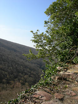 Reisebild einer Frhlingsreise durch die Pfalz und Hessen