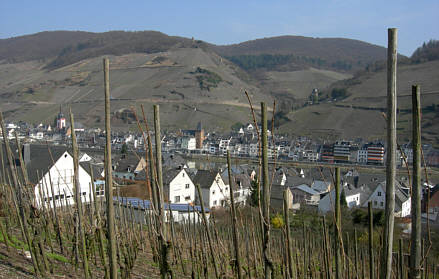 Reisebild einer Frhlingsreise durch die Pfalz und Hessen