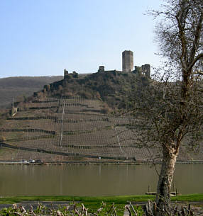 Reisebild einer Frhlingsreise durch die Pfalz und Hessen