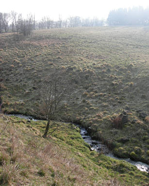 Reisebild einer Frhlingsreise durch die Pfalz und Hessen