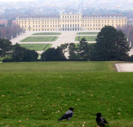 Schloss Schnbrunn im Morgennebel