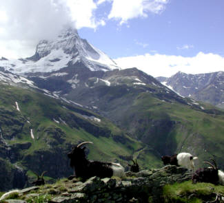 Matterhorn