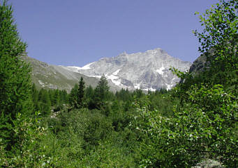 Zinal