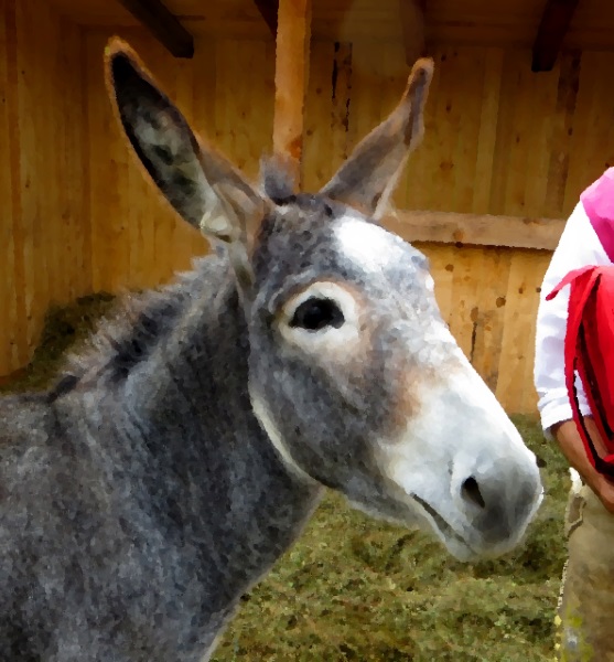 Trachtenumzug in Seefeld in Tirol am 14.09.2014