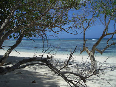 Seychellen Urlaub