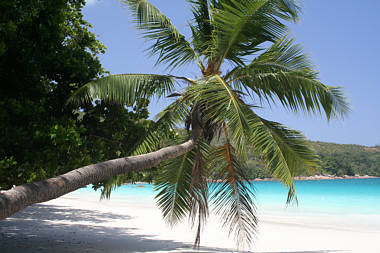 Seychellen Urlaub