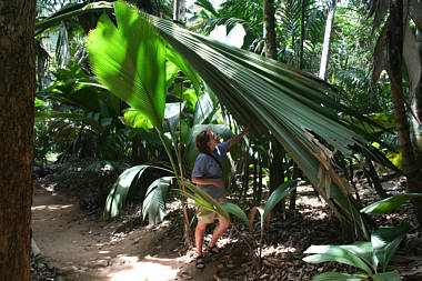 Seychellen Urlaub