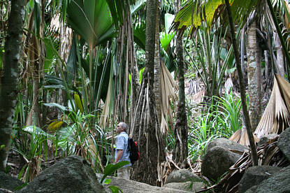 Seychellen Urlaub