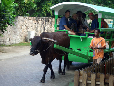 Seychellen Urlaub