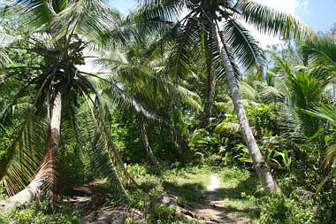 Seychellen Urlaub