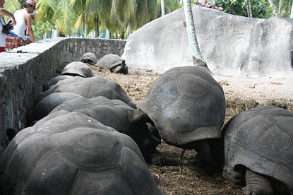 Seychellen Urlaub